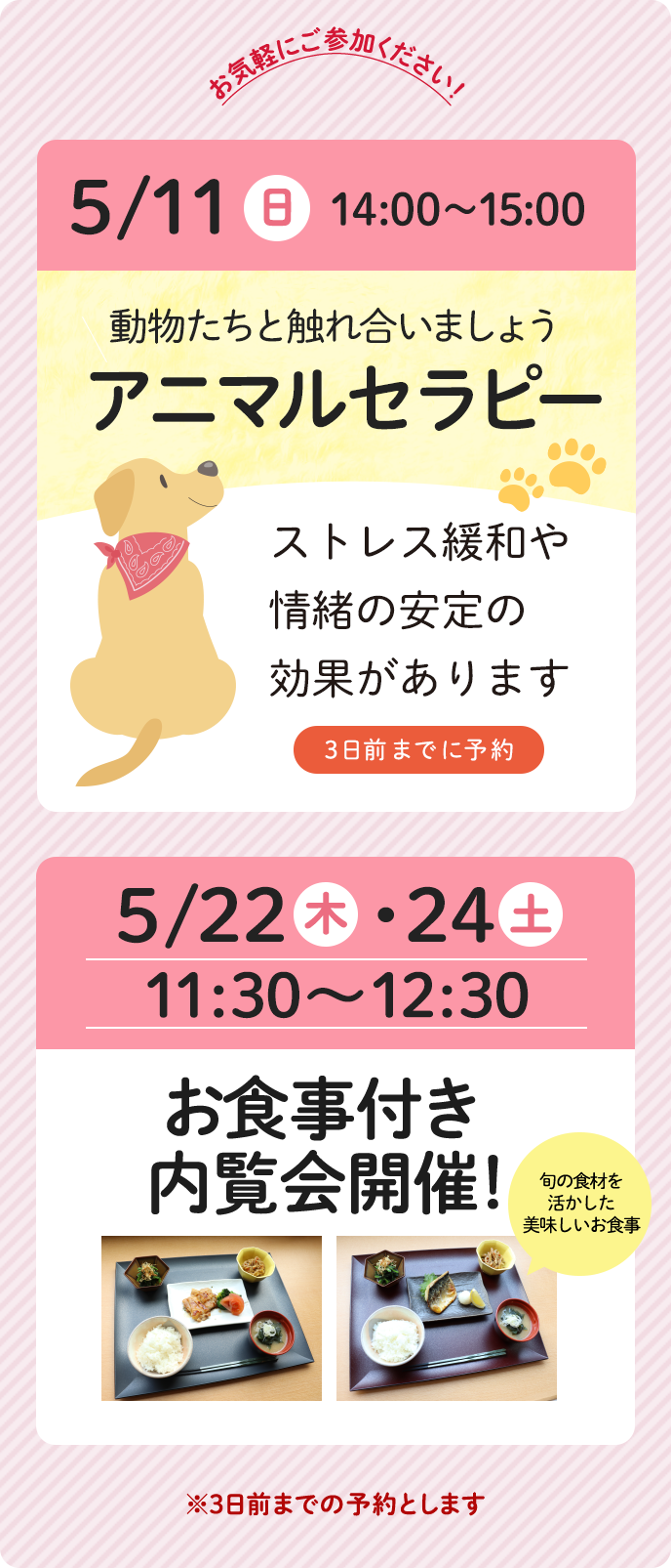 イベント情報随時更新中!