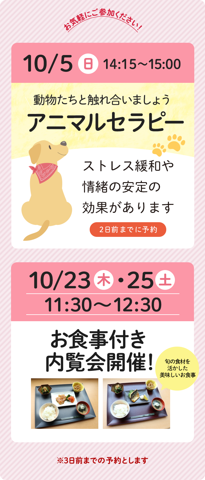 イベント情報随時更新中!